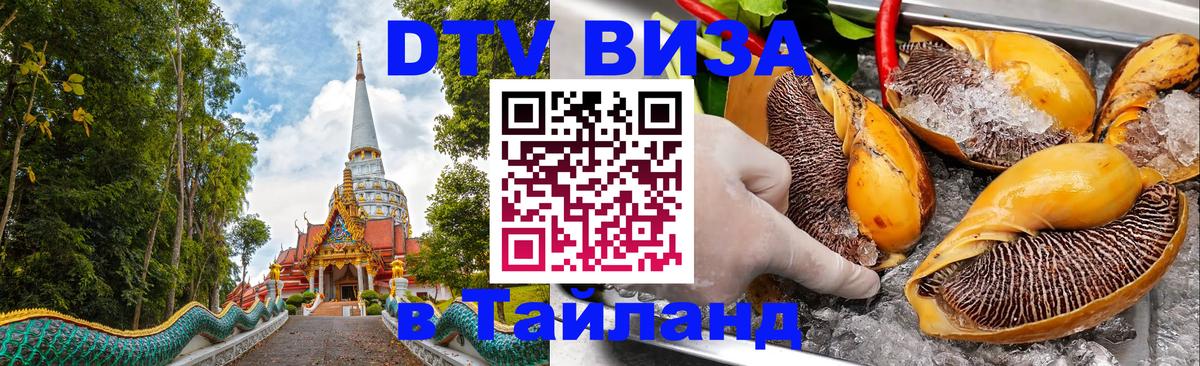 Сколько стоит DTV виза — актуальные цены, оформление даже без документов - 05.10.2025 